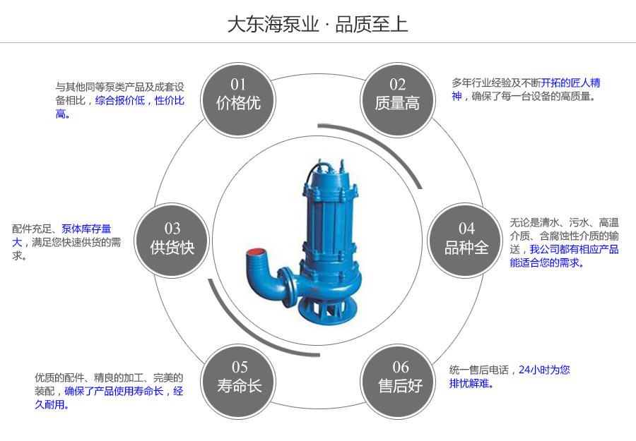 大東海泵業污水潛水泵質量保證圖